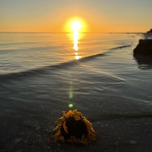 Meet your Posher, Harrison